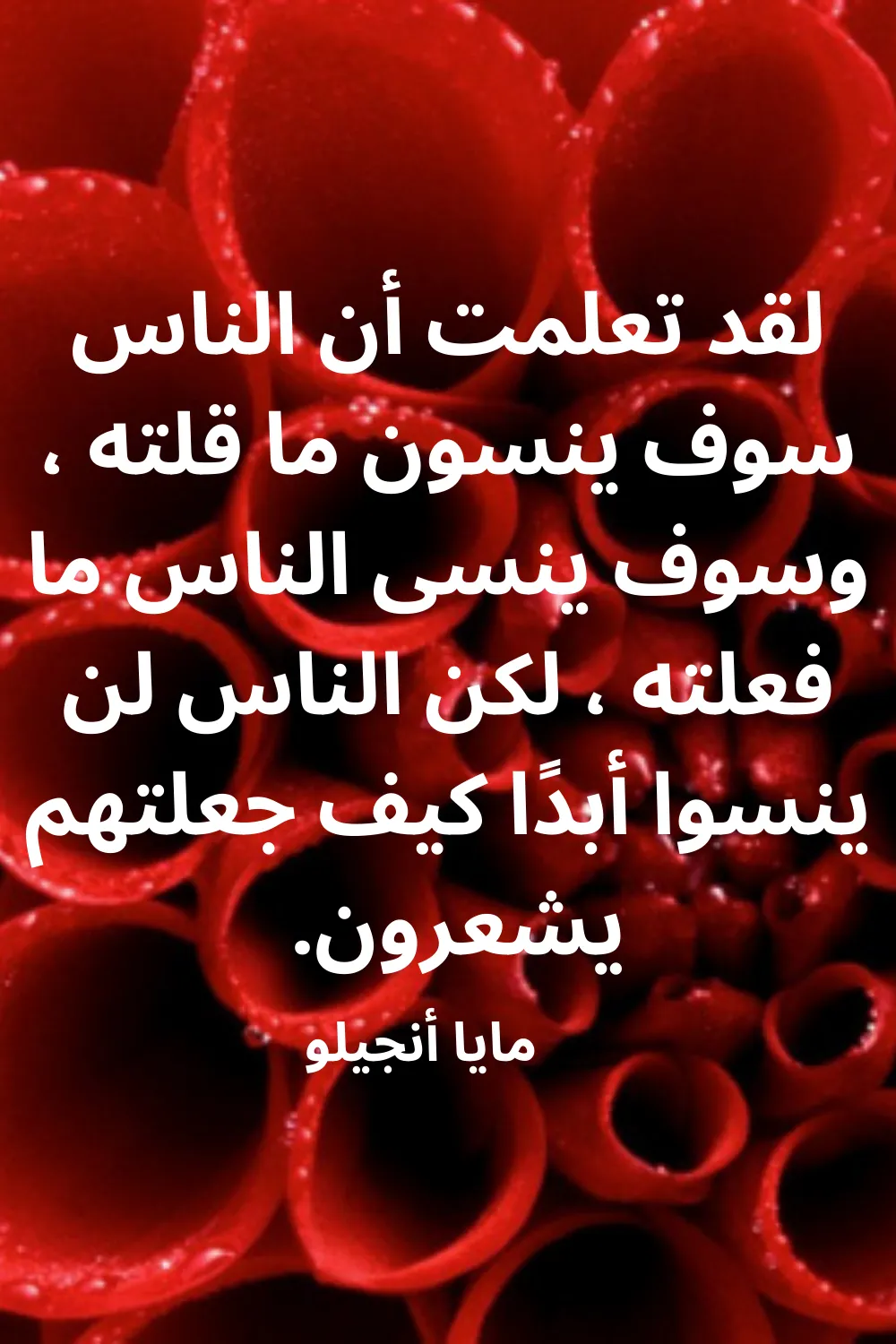 اقتباسات