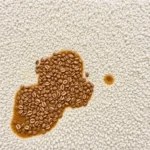 كيفية إزالة بقع القهوة